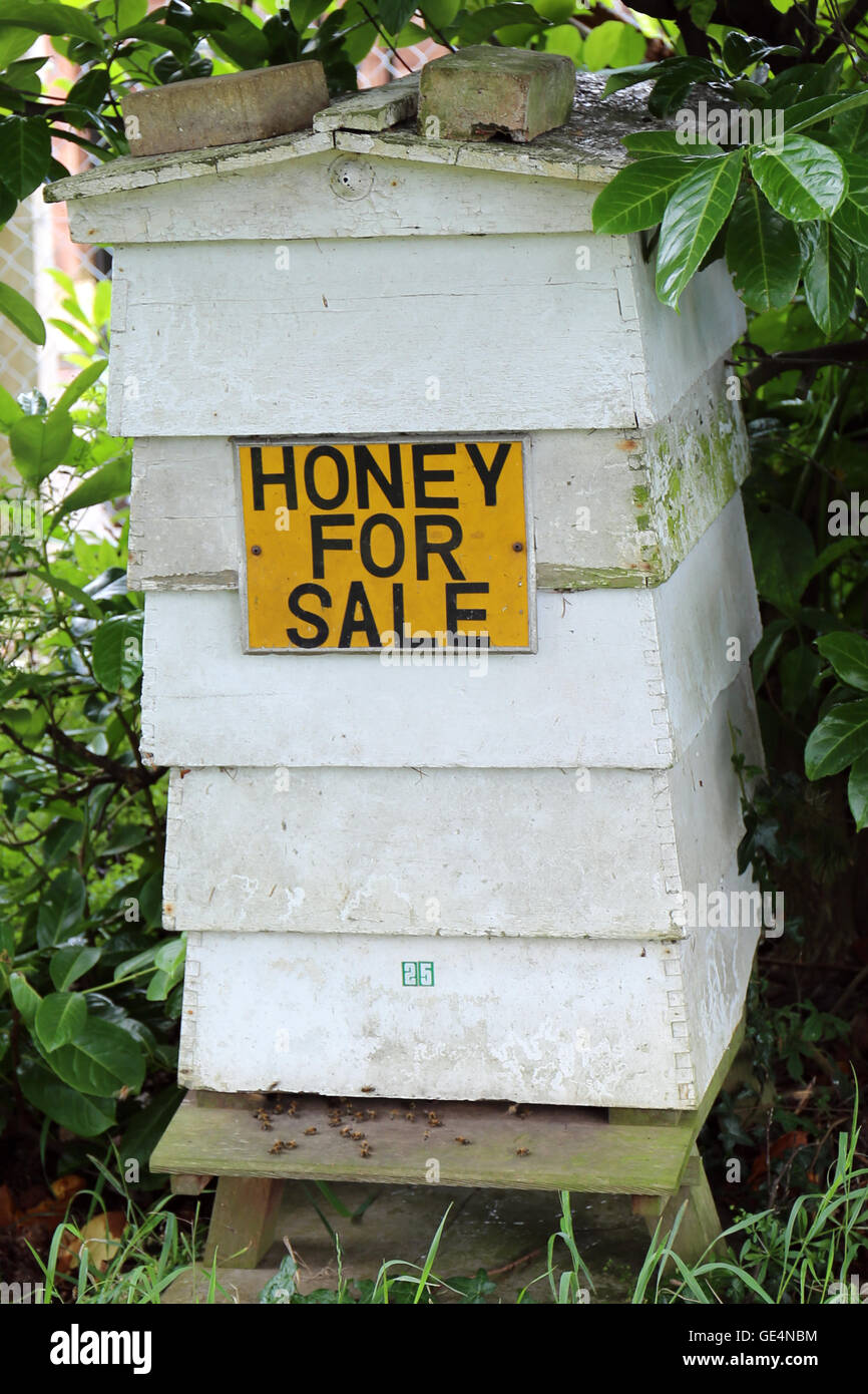 Honey for sale sign on a bee hive Stock Photo