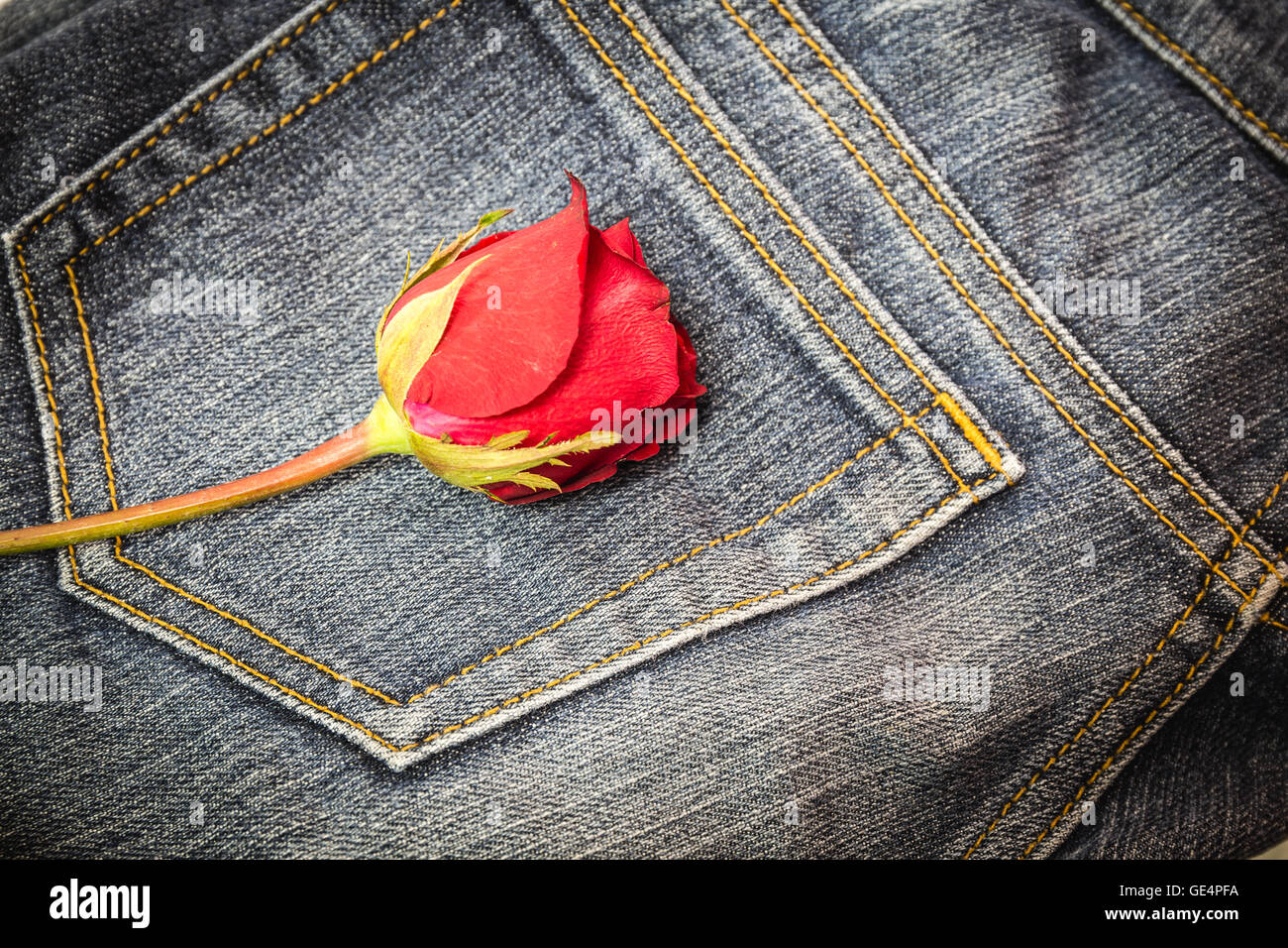Jeans with red flowers 2025