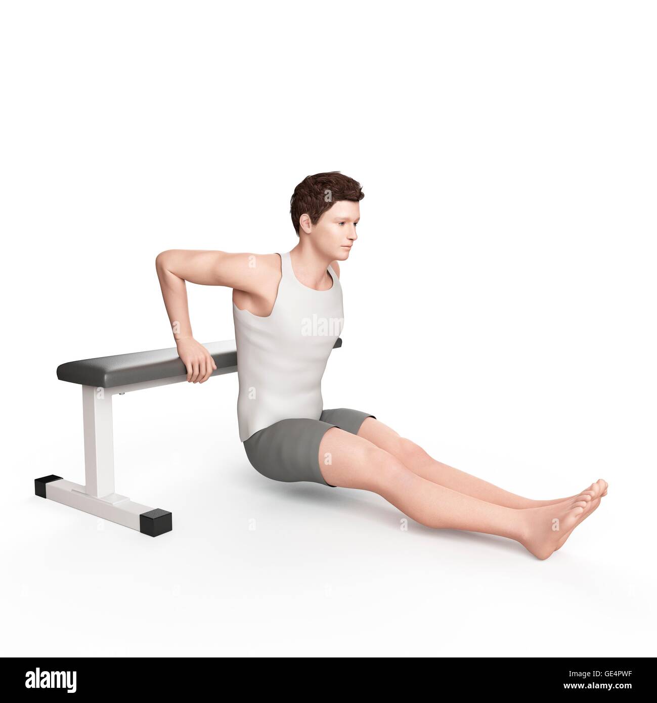 Man doing bench dip exercise, illustration Stock Photo Alamy