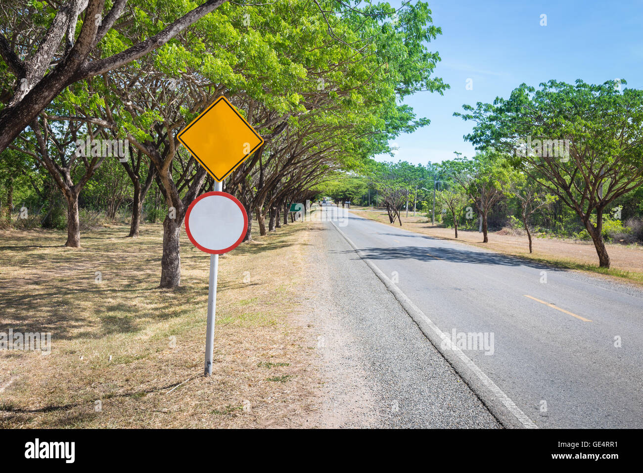 The two sides of the country road with trees and a blank sign (for Input text and symbol) Stock Photo