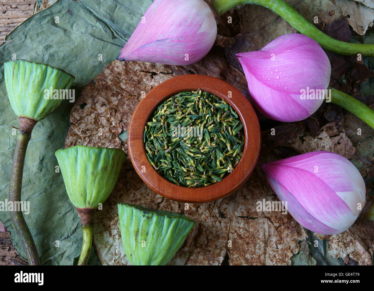 Collection of lotus, pink lotus flower, green seed, white lotus seed in fresh and dry, herbal
