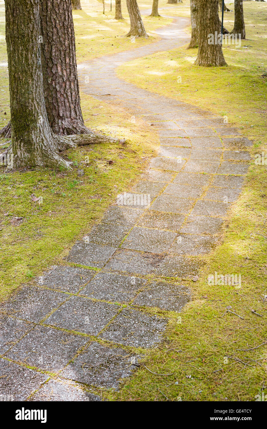 walkway made from stone is curved line in nature Stock Photo