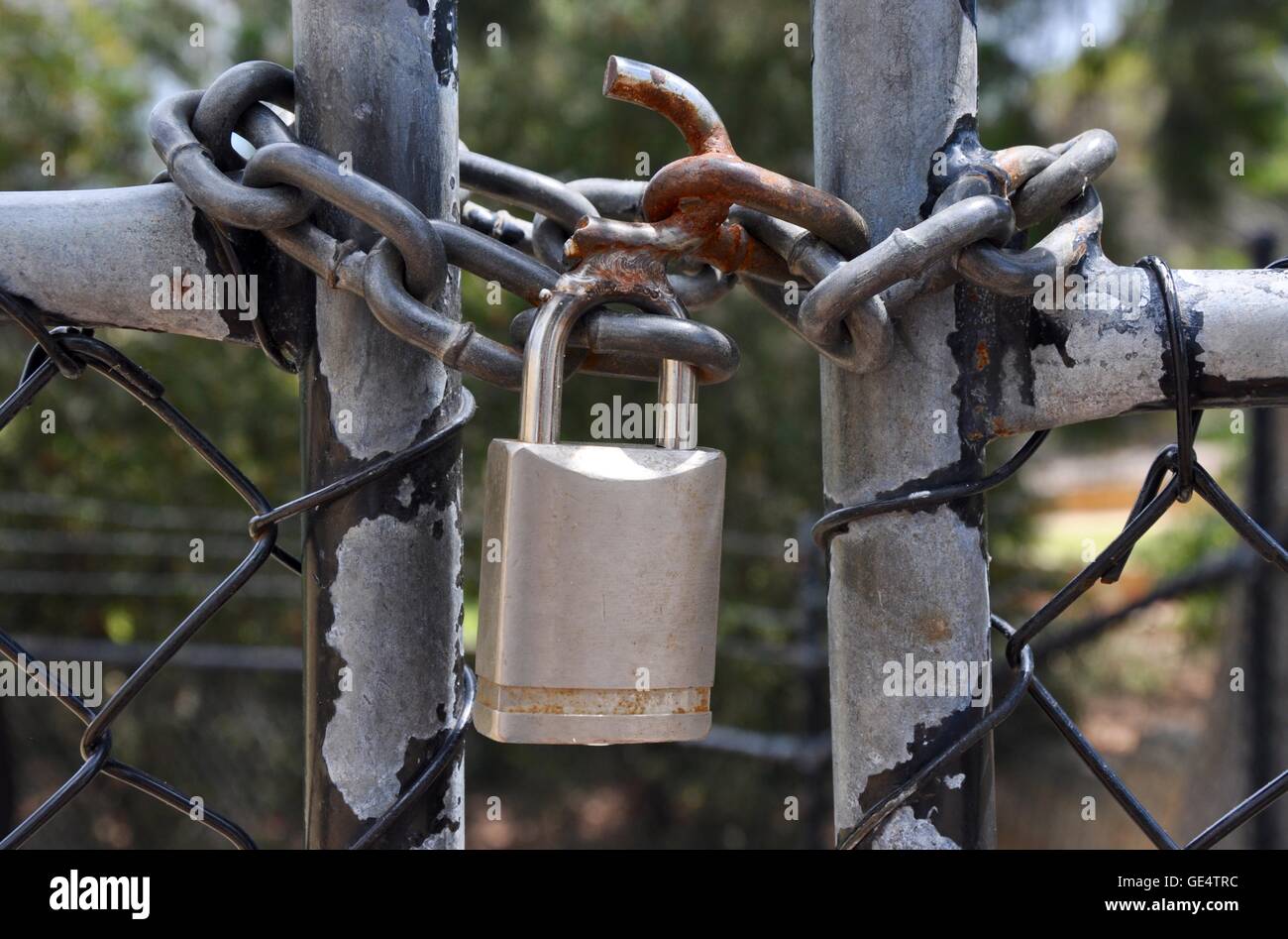 Closeup of worn metal gate closure with chain link fencing and chain link with metal padlock. Stock Photo