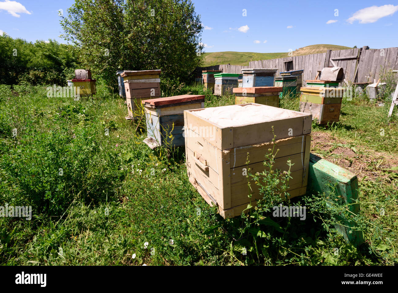 Wooden beehives and painted vibrant colours used by bees as a home colony for honey production Stock Photo