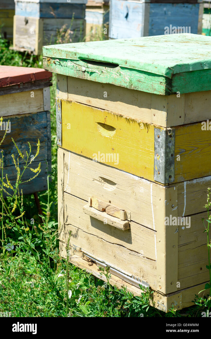 Wooden beehives and painted vibrant colours used by bees as a home