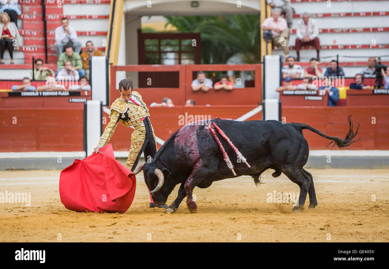 Jaen, SPAIN - October 17, 2008: Spanish bullfighter Cesar Jimenez bullfighting with the crutch in the Bullring of Jaen, Spain Stock Photo
