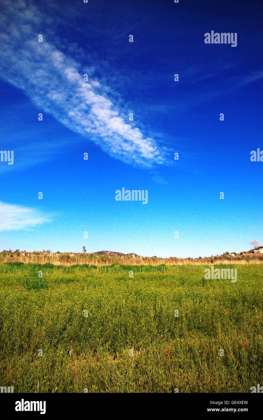 Grassy meadow and sky Stock Photo Alamy
