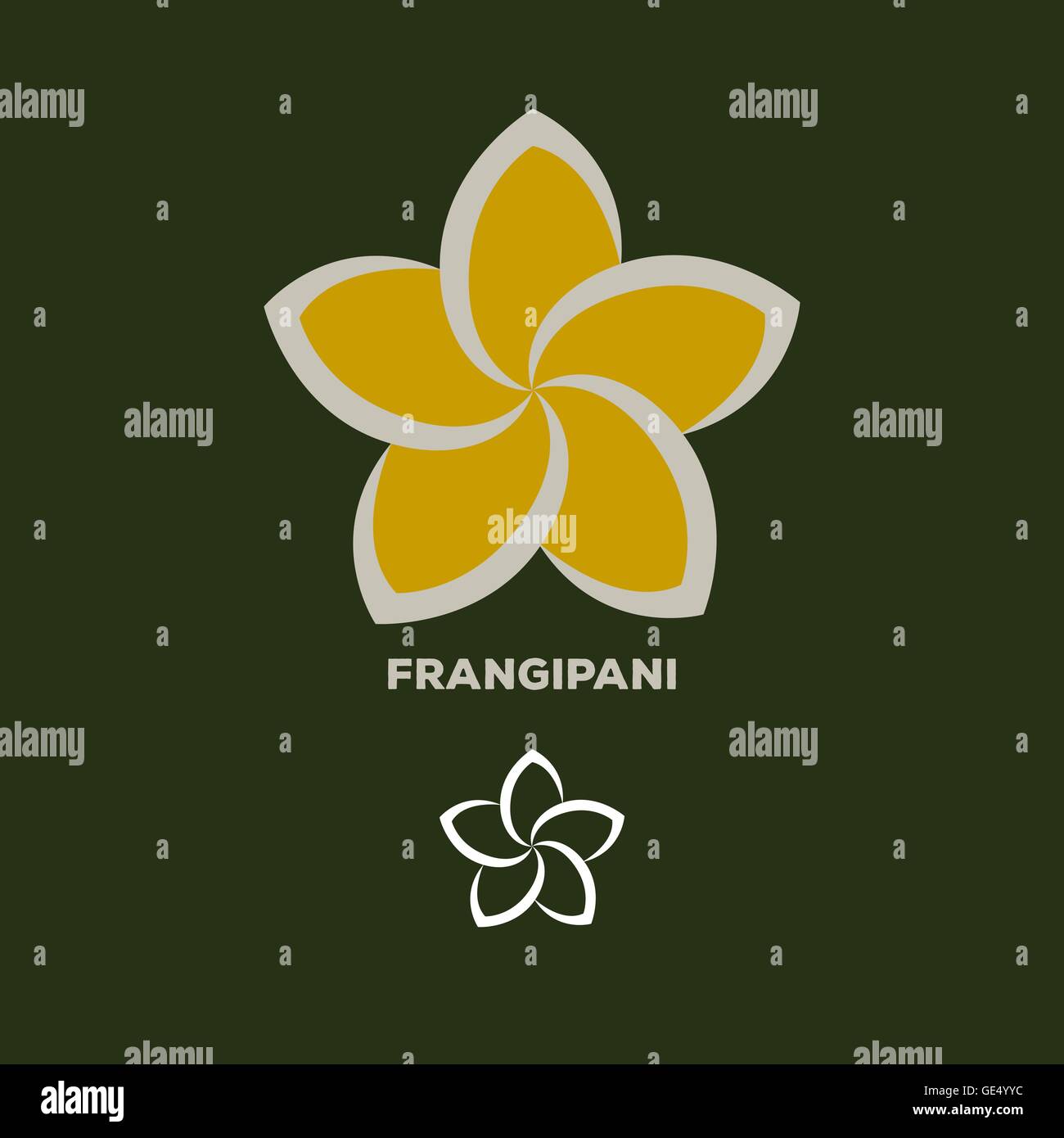 frangipani flower logo vector Stock Vector Image & Art Alamy