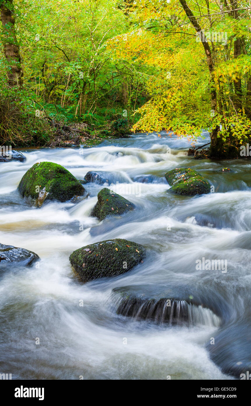 The River Teign in Whiddon Wood. Dartmoor National Park, Devon, England Stock Photo Alamy