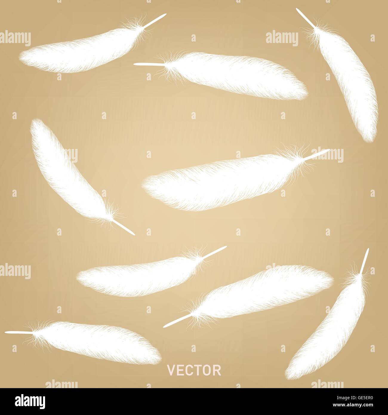 Vintage feather vector set hi-res stock photography and images - Alamy