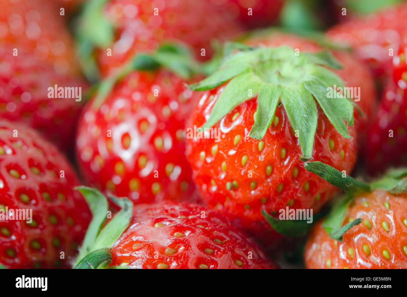 Group of red ripe strawberry with flash filled Stock Photo - Alamy