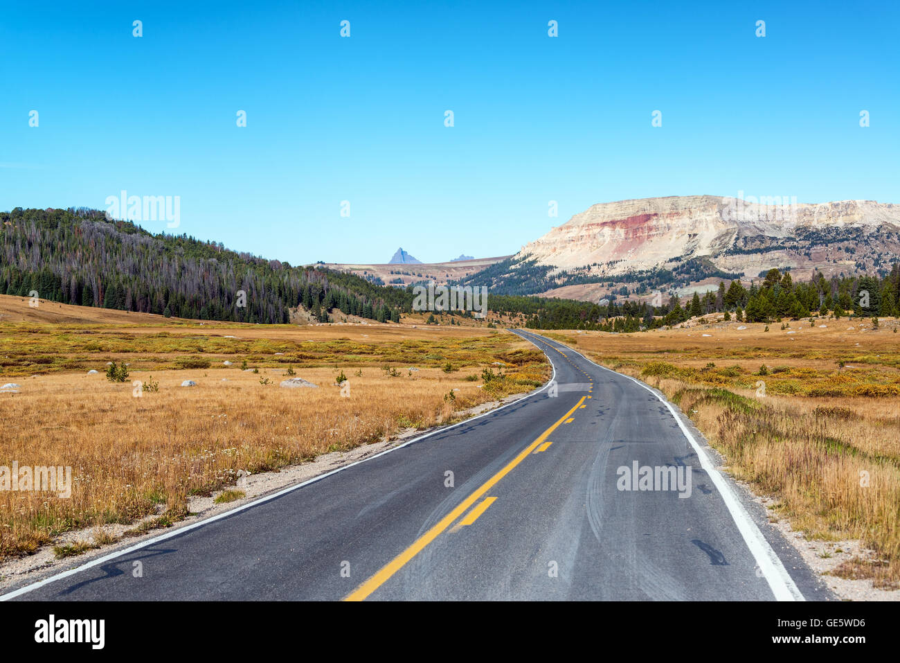 Highway and beautiful view in Shoshone National Forest in Wyoming Stock