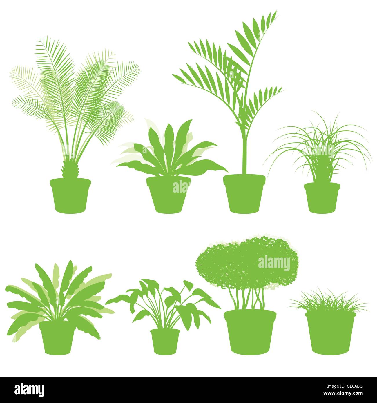 House indoor plants in pots set vector background green concept for ...