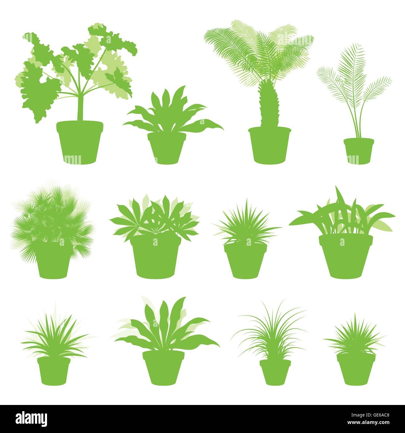 House indoor plants in pots set vector background green concept for ...