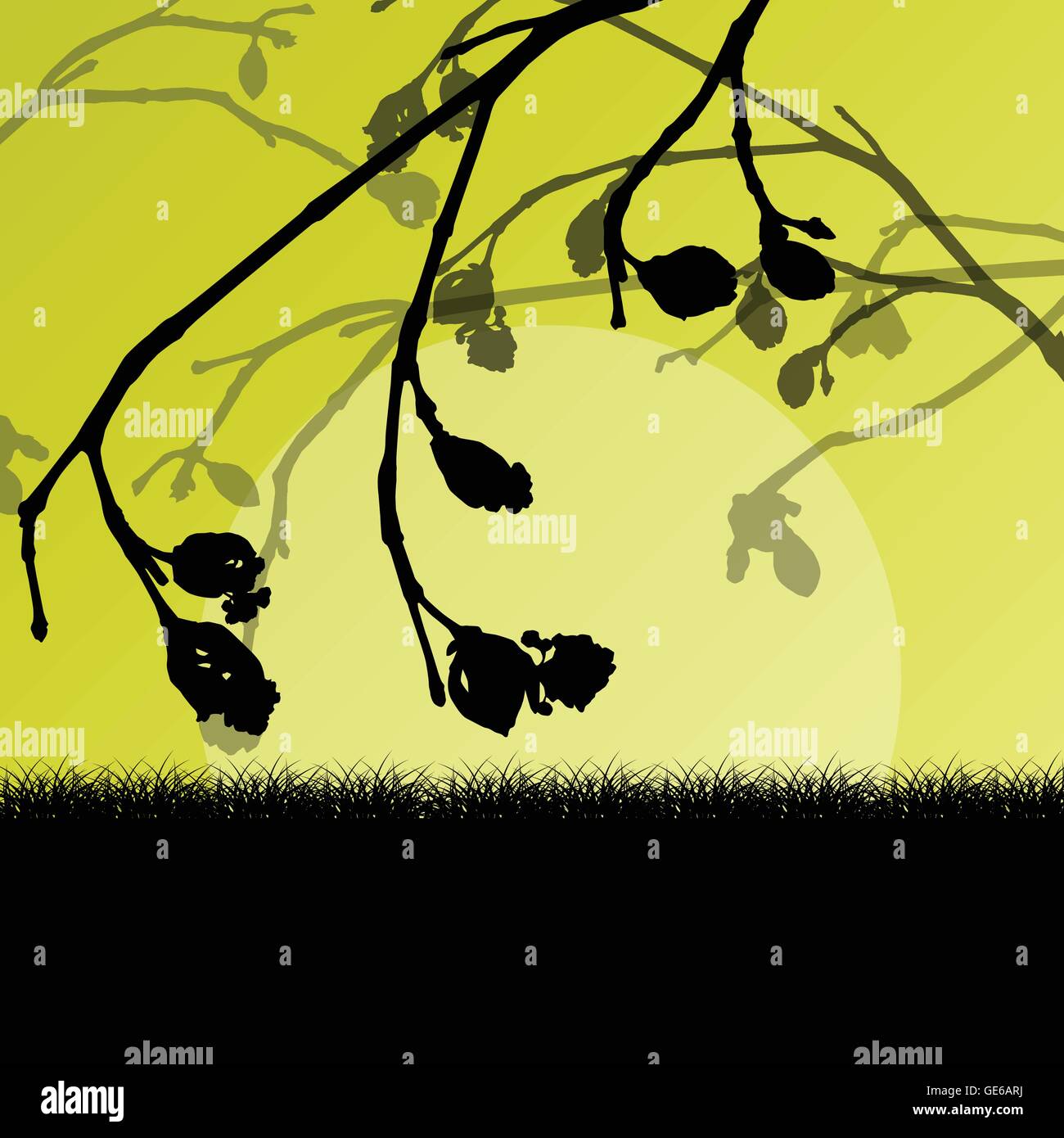 Tree branch with buds spring vector background landscape with grass field Stock Vector