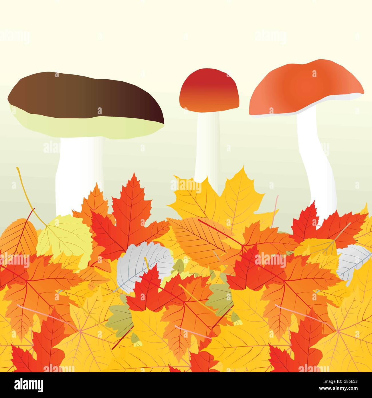 Mushrooms and leaves vector autumn background concept Stock Vector ...