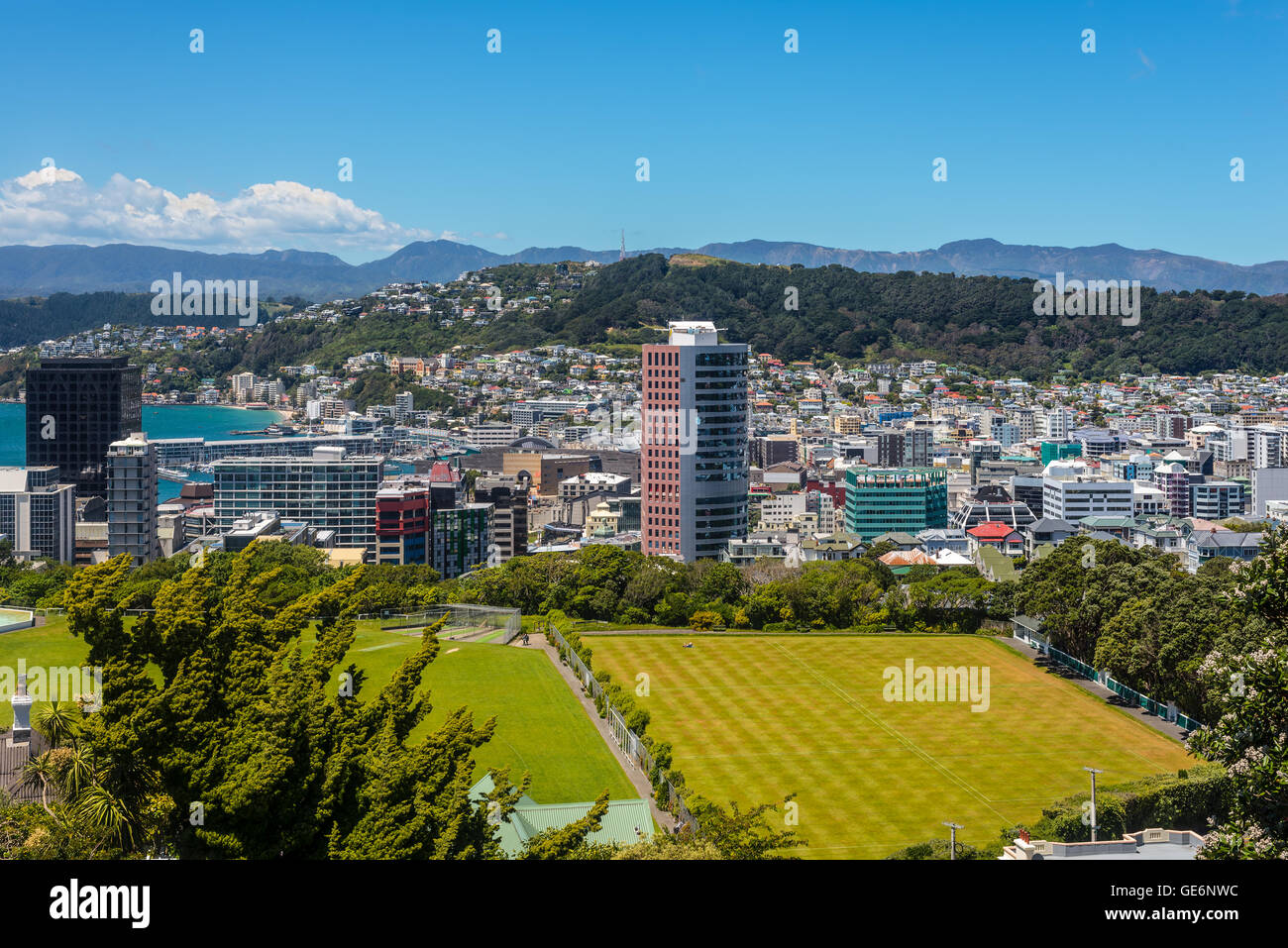 View of Mt Victoria over Wellington CBD, capital city of New Zealand. Modern architecture and Cricket Field in the foreground. Stock Photo