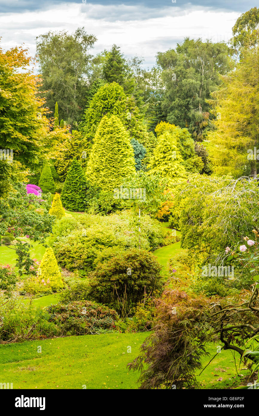 Maple Glen Gardens, South Island, New Zealand Stock Photo