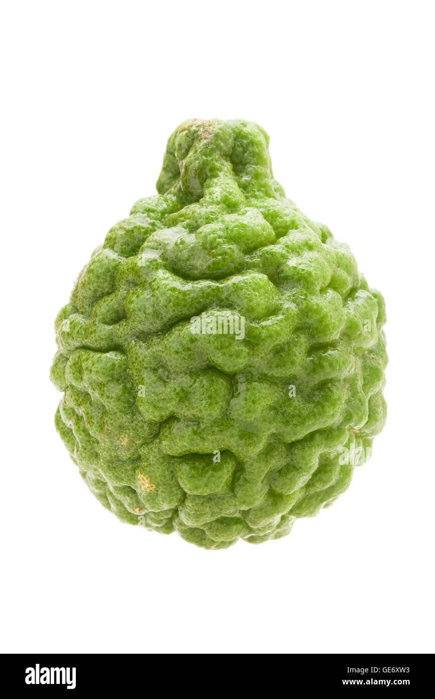 Kaffir lime fruit hi-res stock photography and images - Alamy
