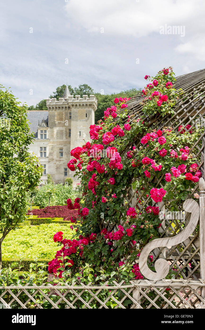 Chateau Villandry Gardens Loire Valley France Stock Photo