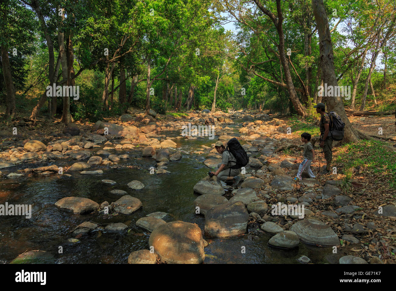 Jungle Trekking in Chinnar Wildlife Sanctuary (Kerala) Stock Photo