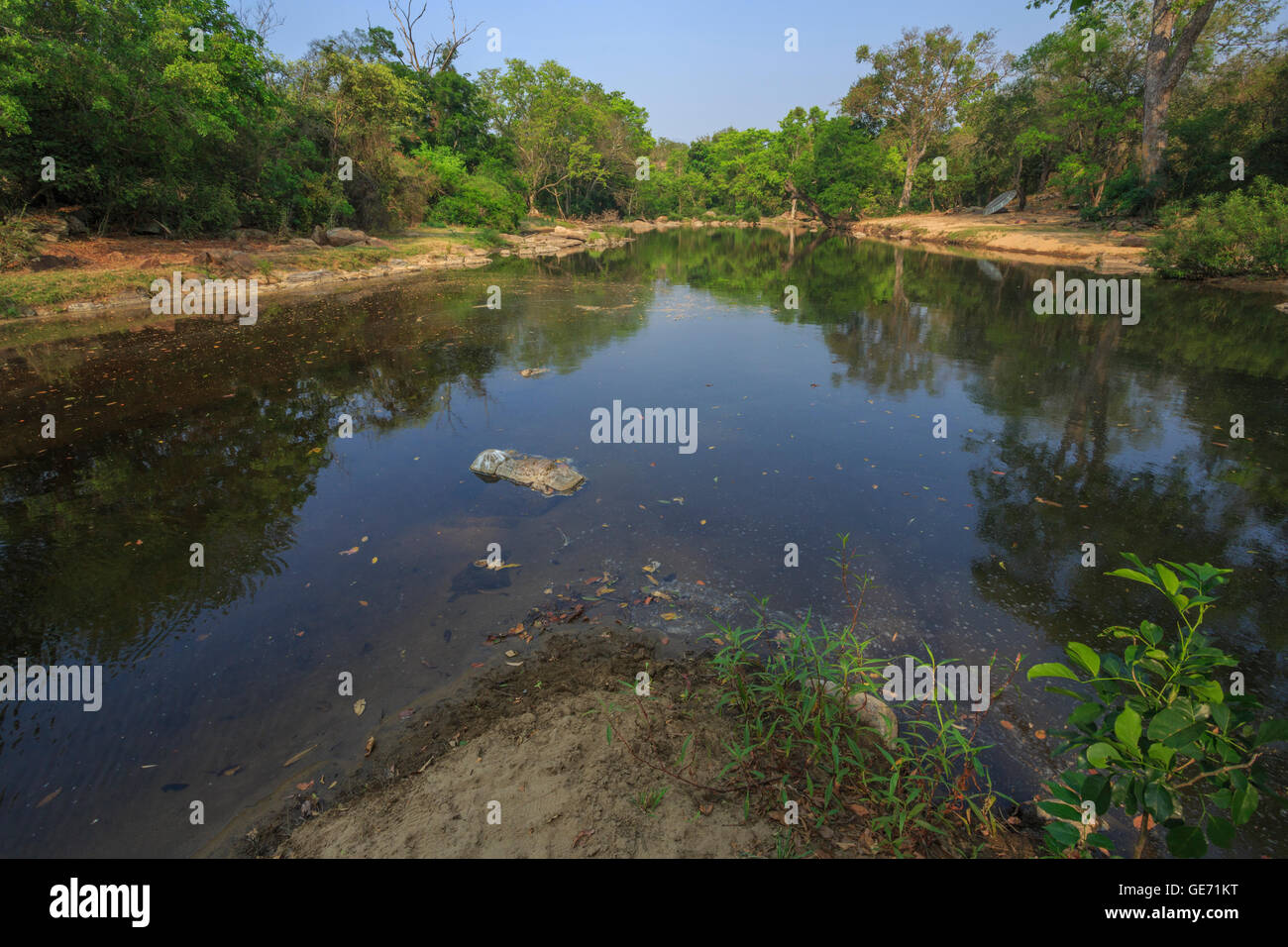 Chinnar Wildlife Sanctuary (Kerala, India) Stock Photo