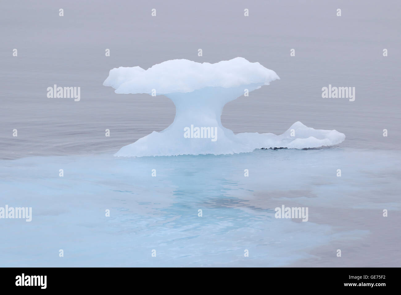 Blue Ice floe in the Arctic pack ice Stock Photo Alamy