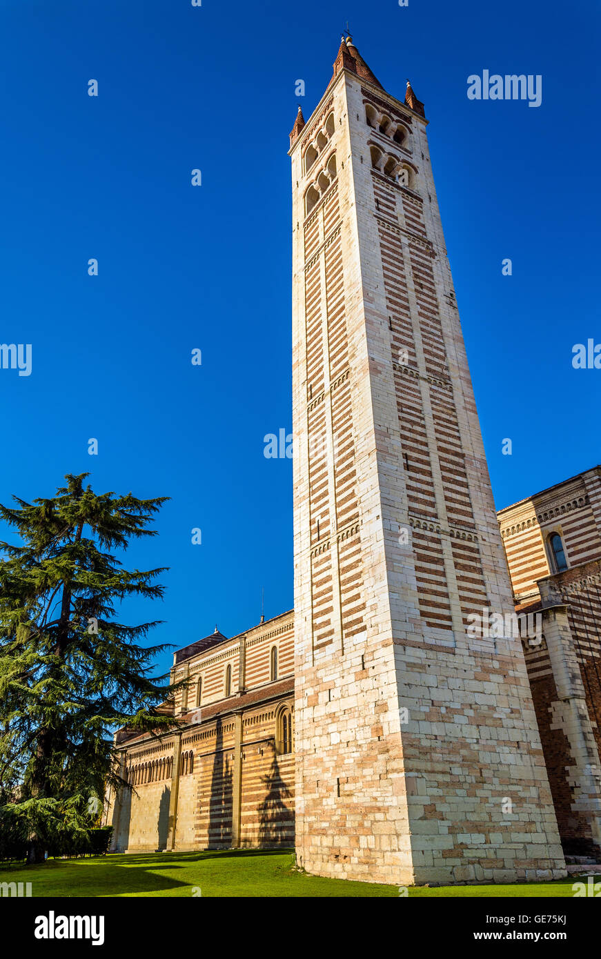 View of bell tower of Basilica of San Zeno in Verona Stock Photo Alamy