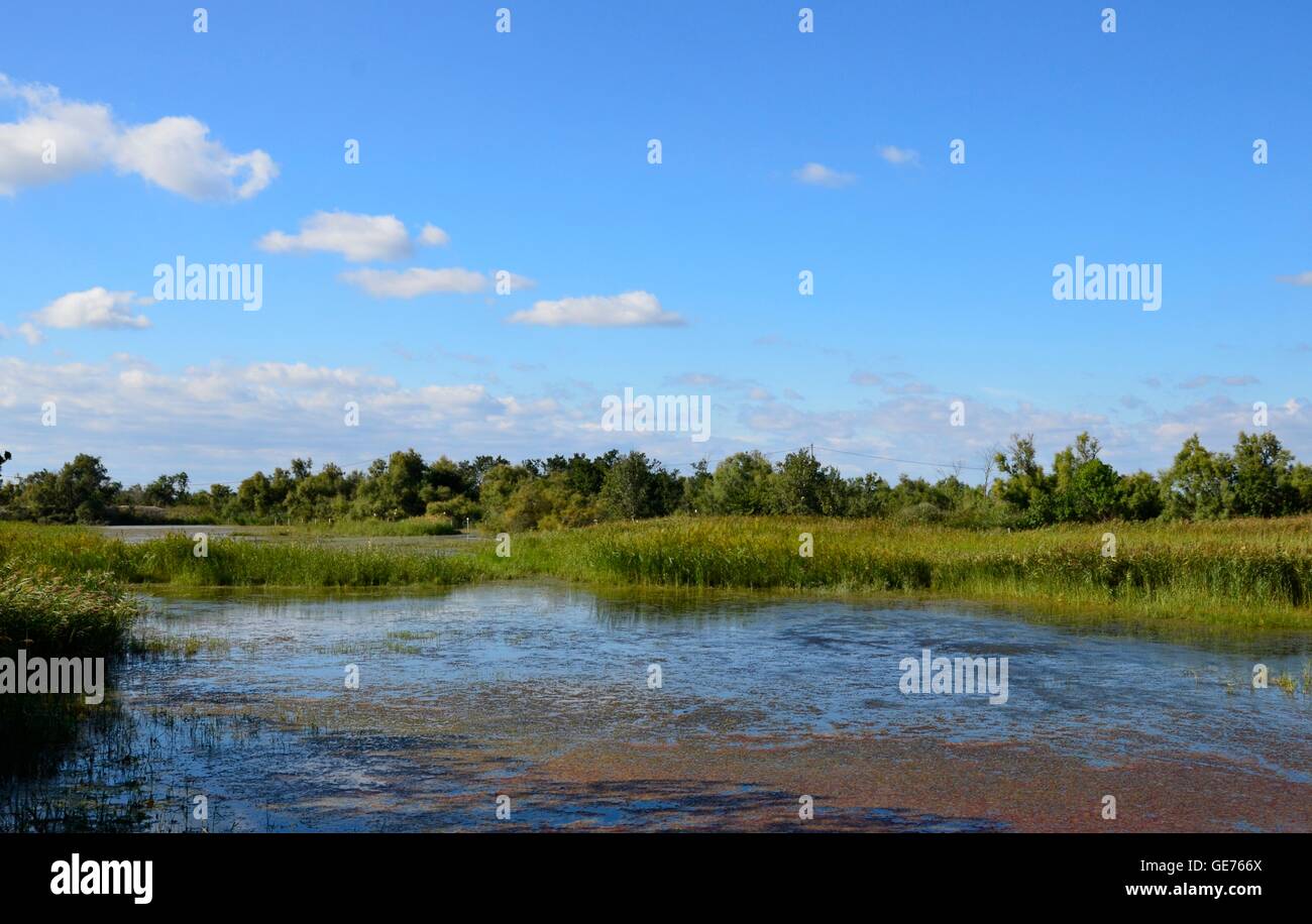 Etang de Vaccares, Camargue Stock Photo