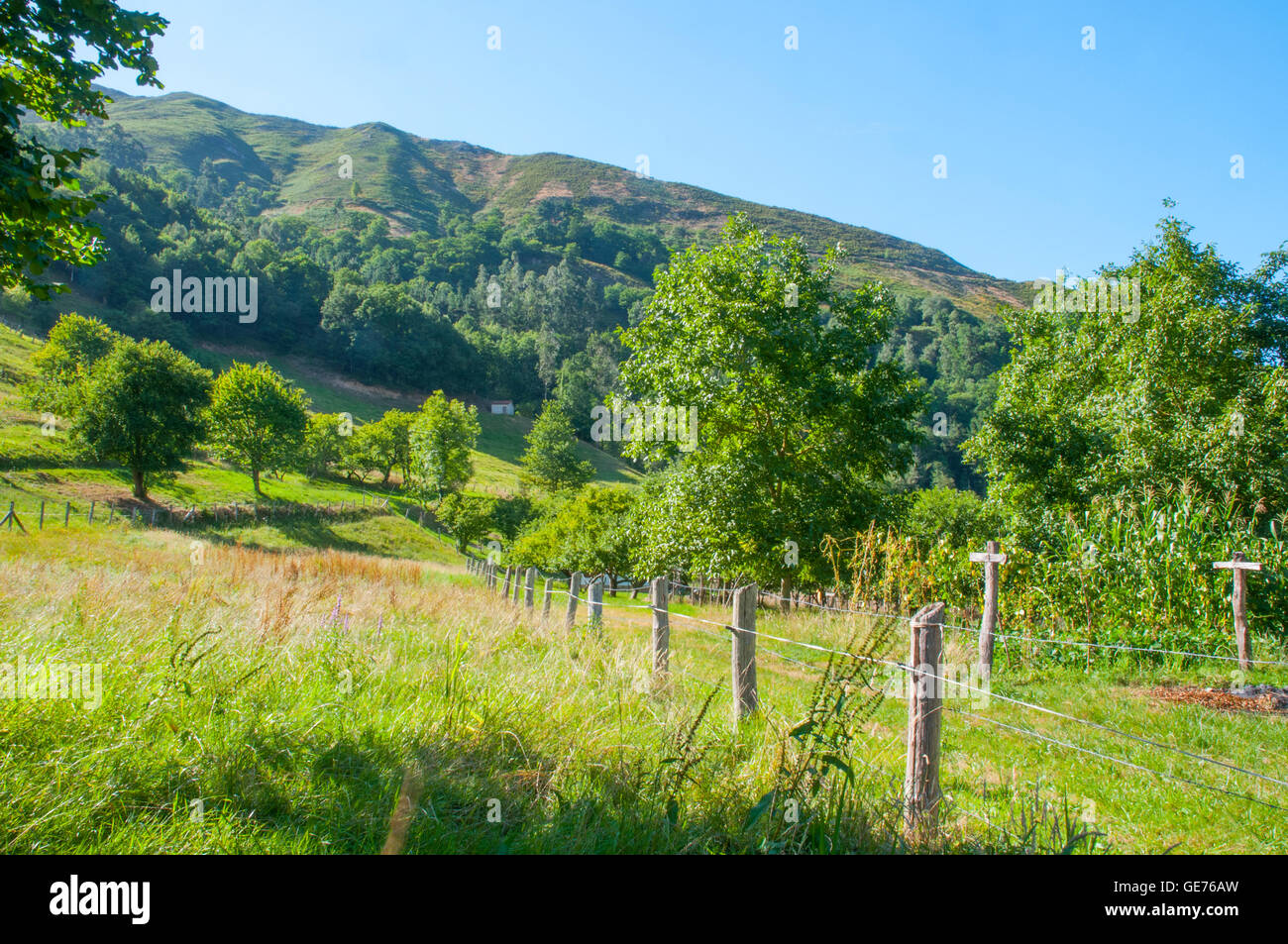 Landscape. Espinaredo, Asturias, Spain. Stock Photo