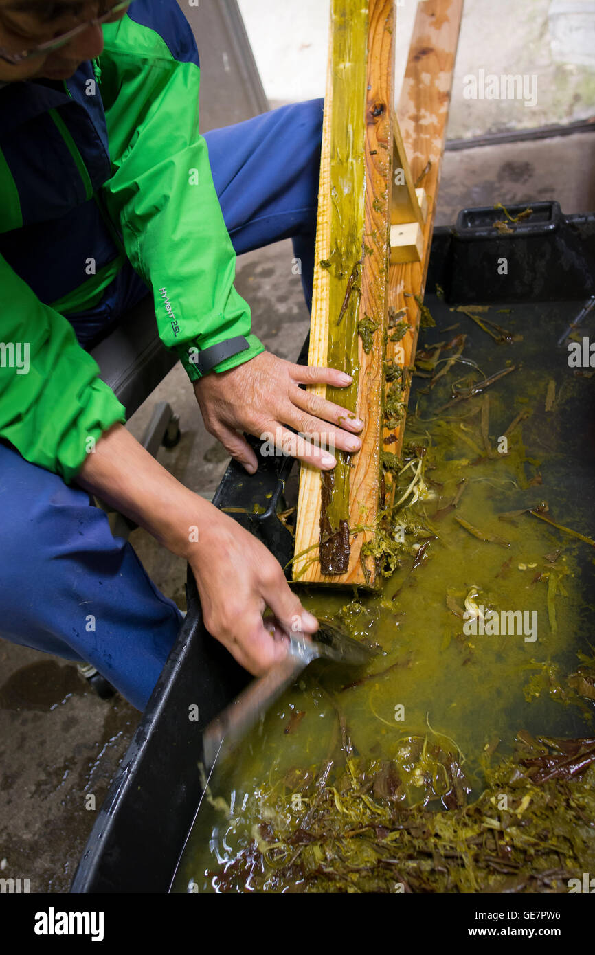 Old paper factory hires stock photography and images Alamy