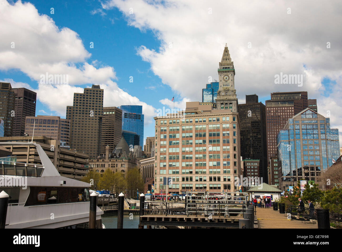 Boston Harbor Whale Watching Adventures Stock Photo