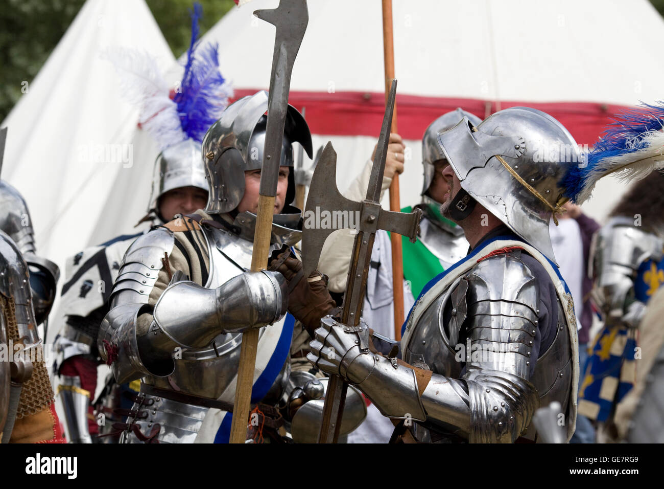 Medieval lancastrian knights getting ready for a battle Stock Photo