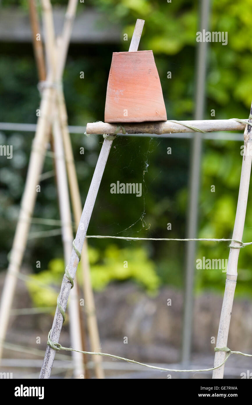 Terracotta Flower pot on top of bamboo canes in the garden Stock Photo