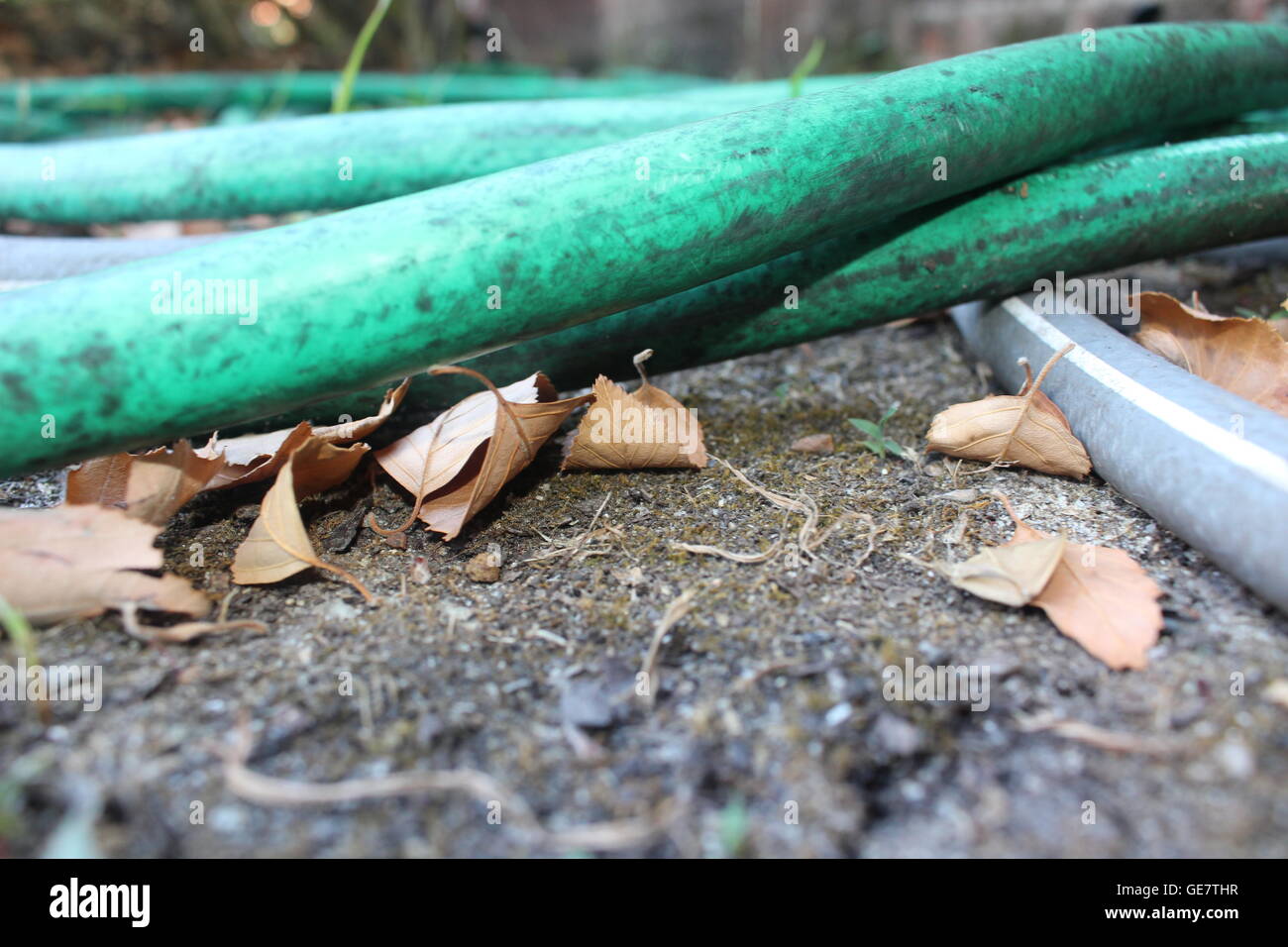 A water hose on the ground. Stock Photo