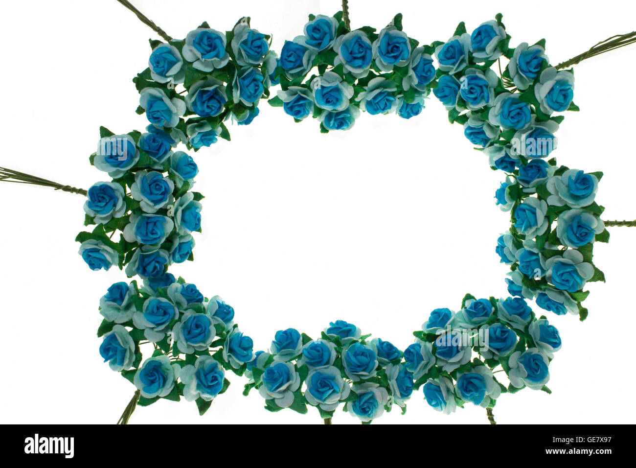 Spring flowering branches, blue flowers, no leaves, blossoms heart frame on white background. Stock Photo