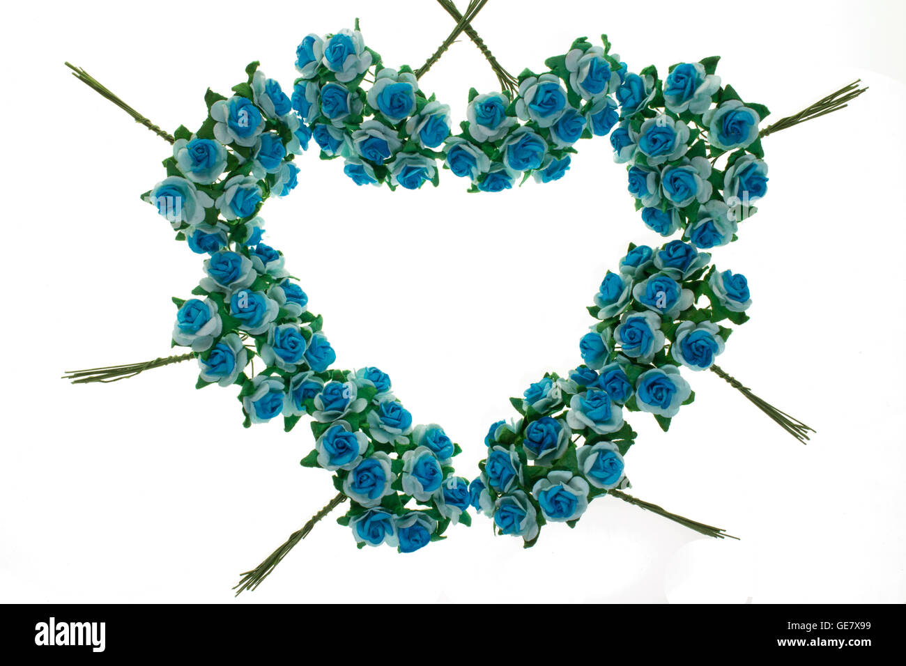 Spring flowering branches, blue flowers, no leaves, blossoms heart frame on white background. Stock Photo