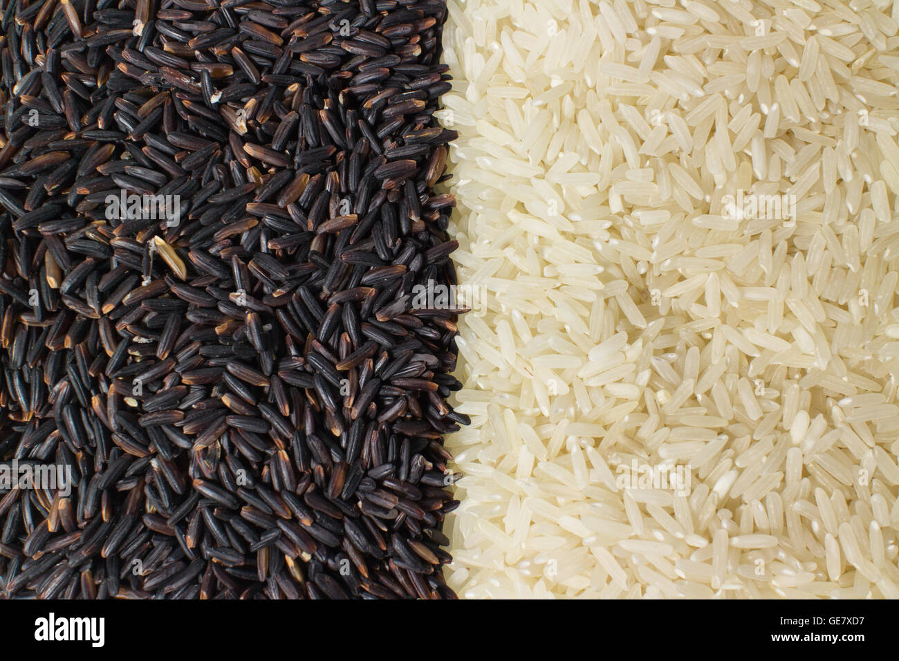 Food background with two rows of rice varieties : berry rice, white ...