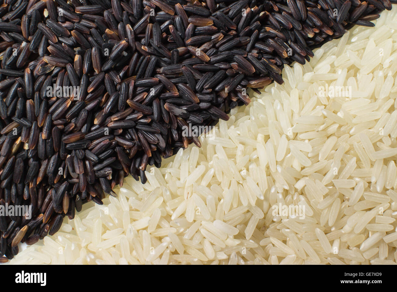 Food background with two rows of rice varieties : berry rice, white (jasmine) rice. Stock Photo