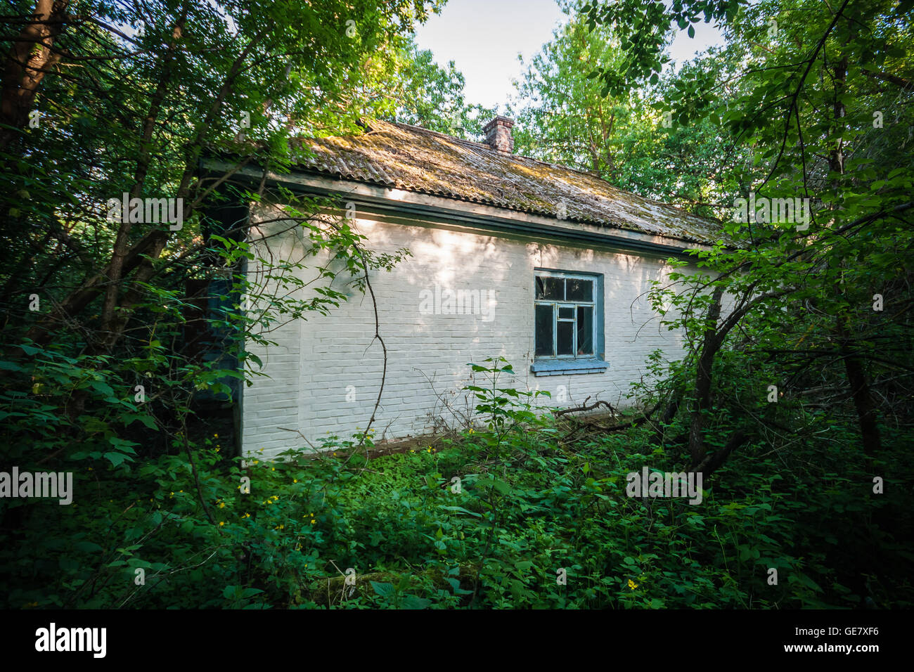 An abandoned house slowly decays and disappears into the foliage inside the Chernobyl exclusion zone, Ukraine. Stock Photo