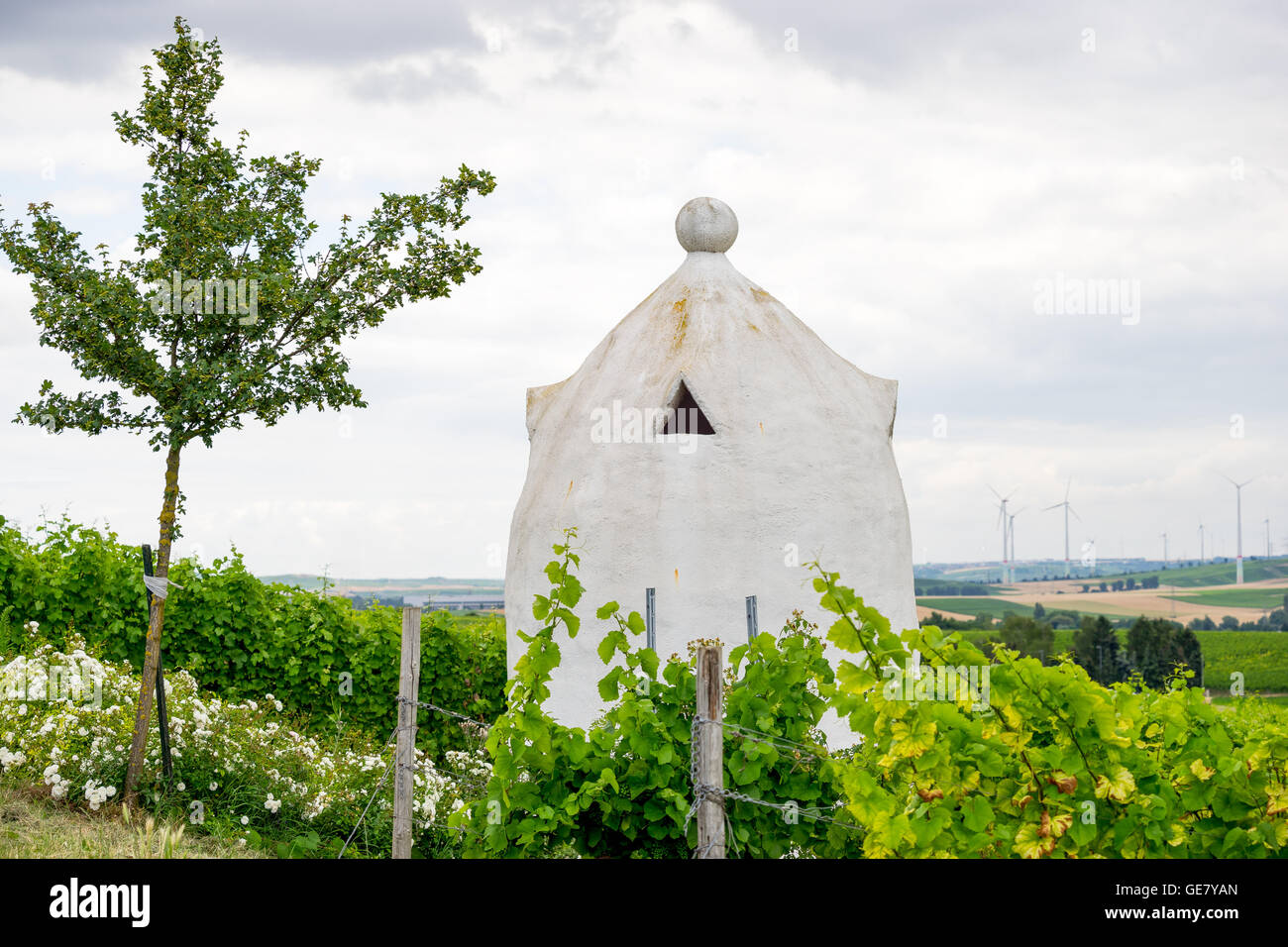 Vineyard shelter in the style of an Italian Trullo in Rheinhessen, Germany, Rhine-Hesse. Stock Photo