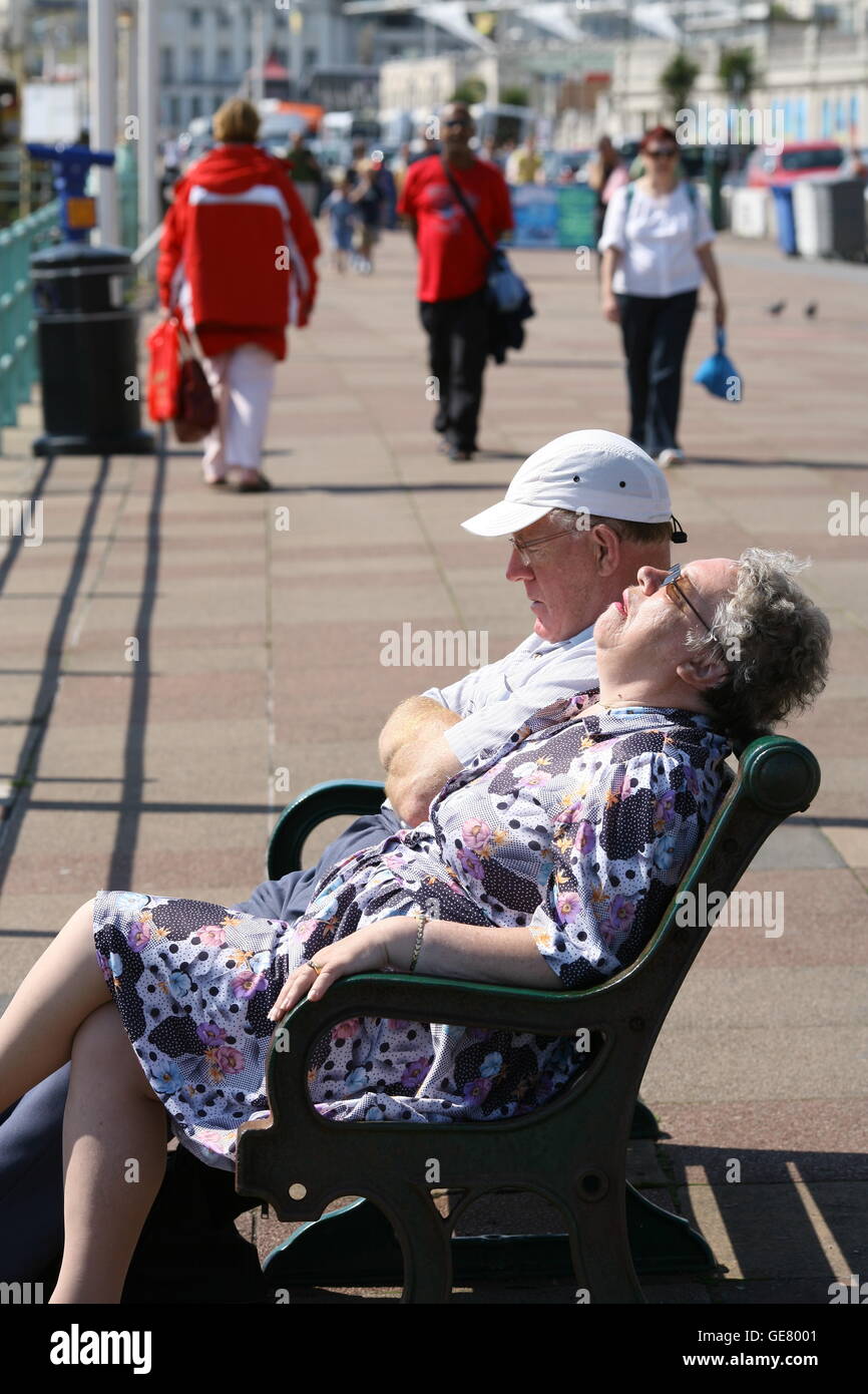 Afternoon Snooze High Resolution Stock Photography And Images Alamy