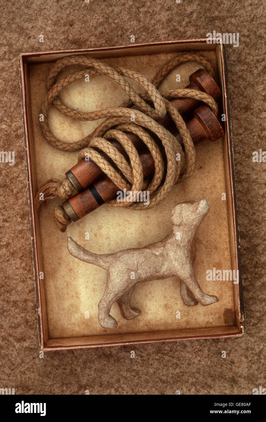 Cardboard box containing Victorian skipping rope and stained papier mache model of dog Stock Photo