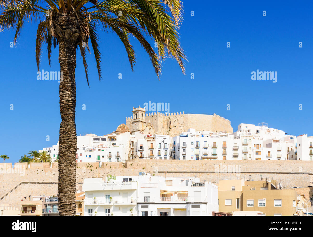 Palm tree framed Papa Luna Castle and old town atop the rocky headland on the Costa del Azahar, Peniscola, Spain Stock Photo