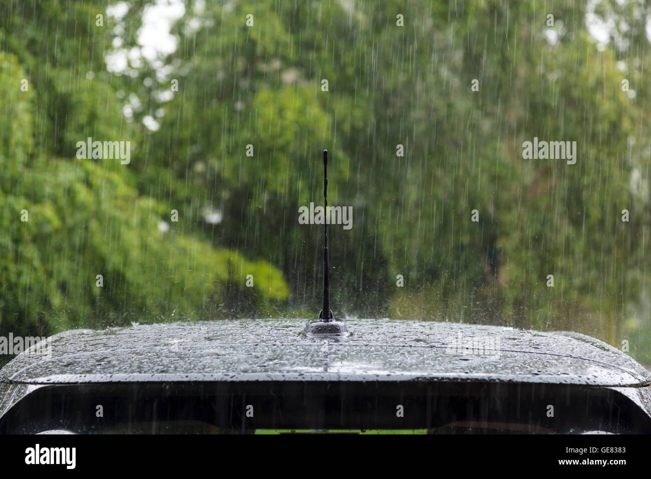 Heavy rain falling on a car roof Stock Photo Alamy