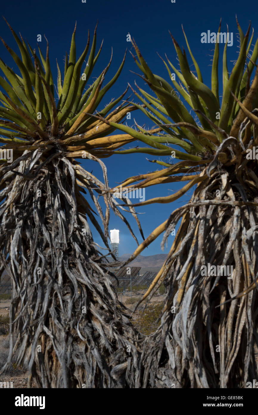 NRG Energy's Ivanpah Solar Project, a solar thermal electric generating facility in the Mojave Desert. Stock Photo