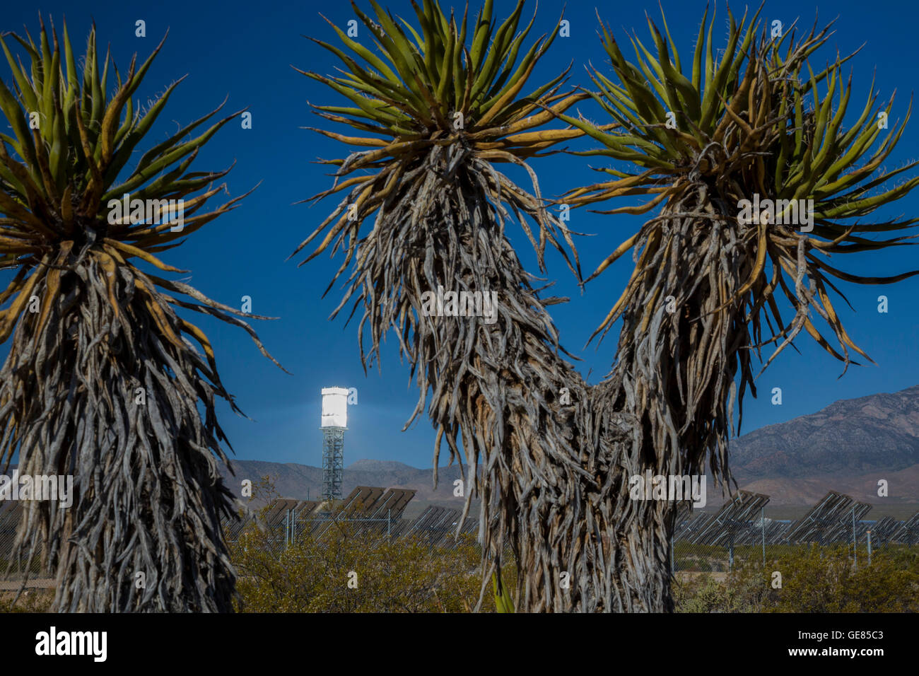 NRG Energy's Ivanpah Solar Project, a solar thermal electric generating facility in the Mojave Desert. Stock Photo