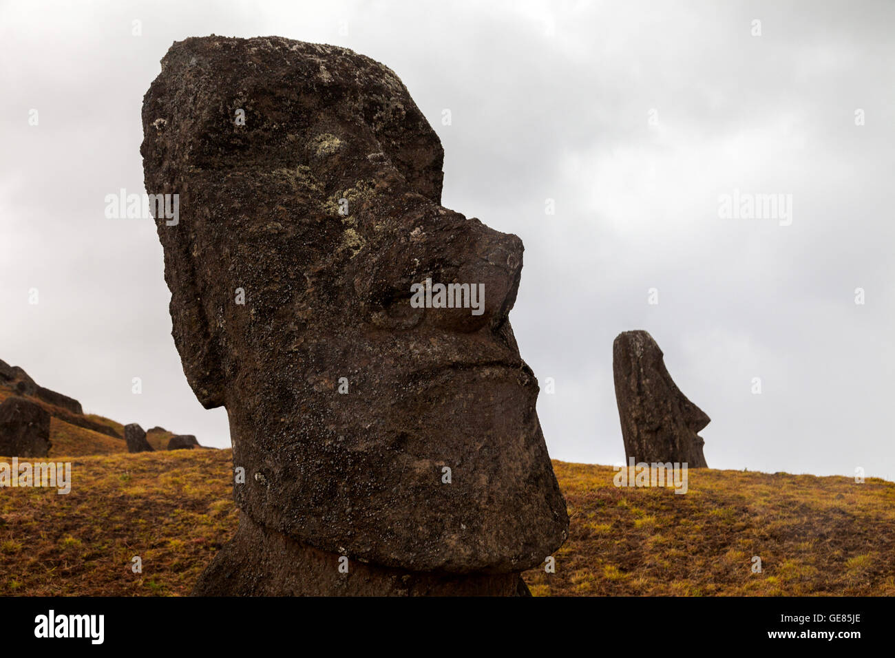 Rano Raraku on Easter Island Stock Photo - Alamy