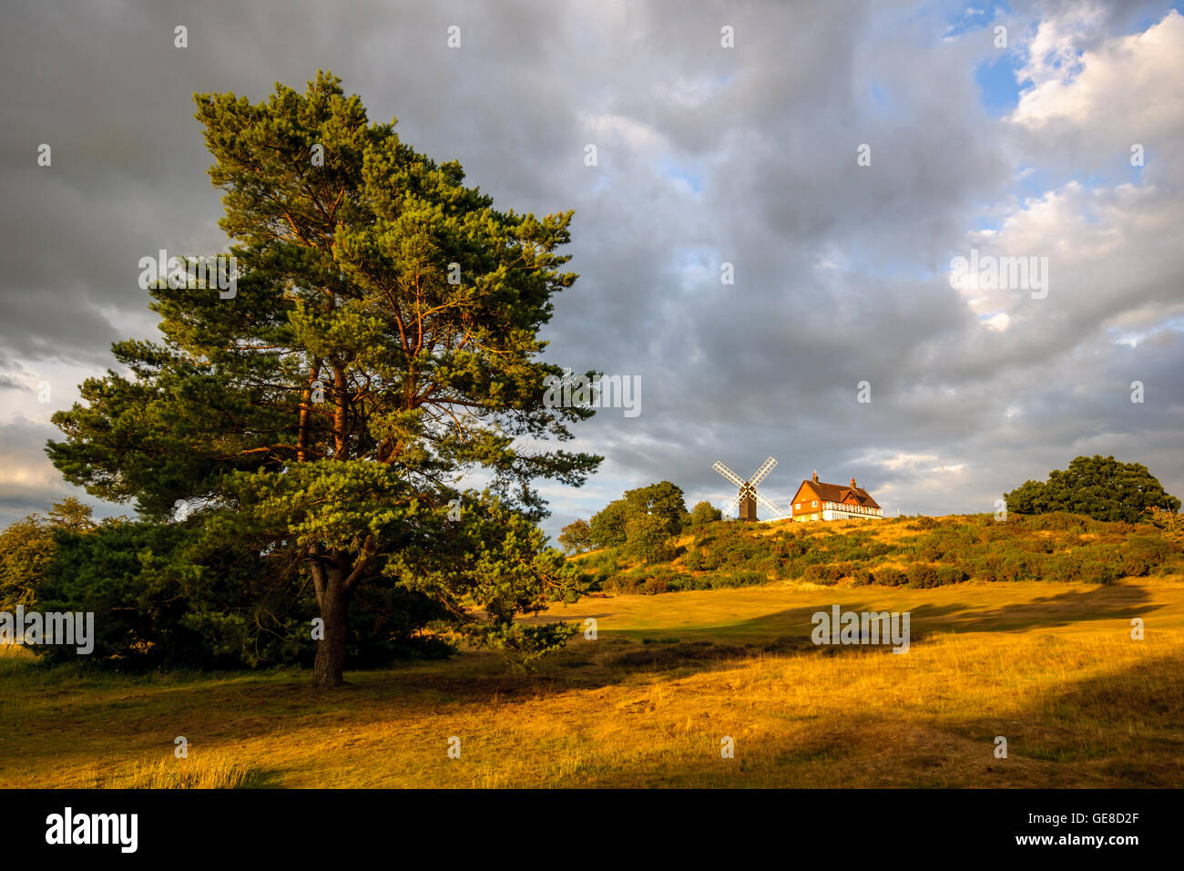 Reigate Heath Golf Course Clubhouse and Windmill, Surrey England United Kingdom Stock Photo