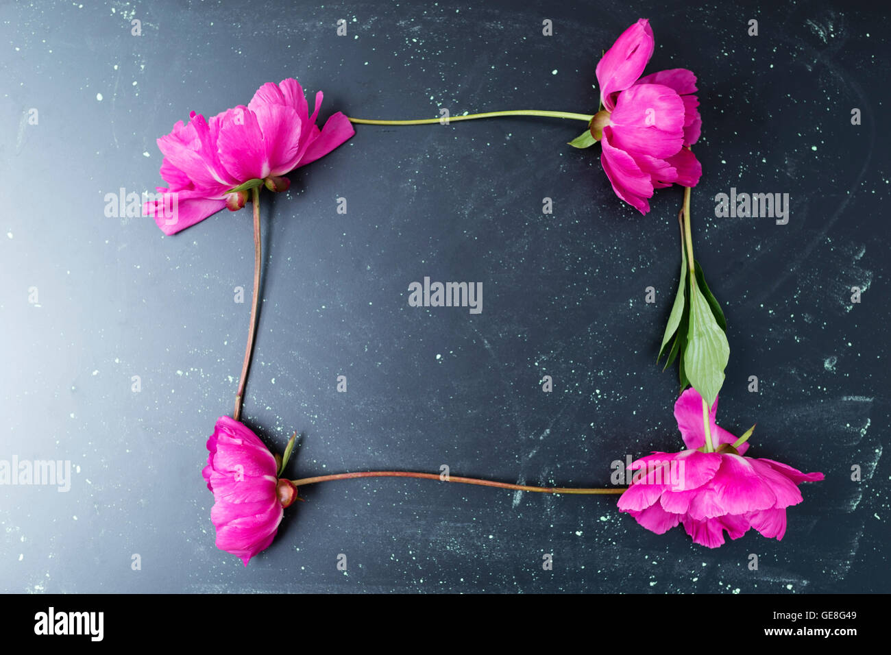 Four peonies shaping a square Stock Photo